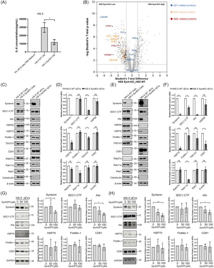 https://cdn.ncbi.nlm.nih.gov/pmc/blobs/54b3/12358804/955b7aaa2d04/HEM3-9-e70197-g005.jpg