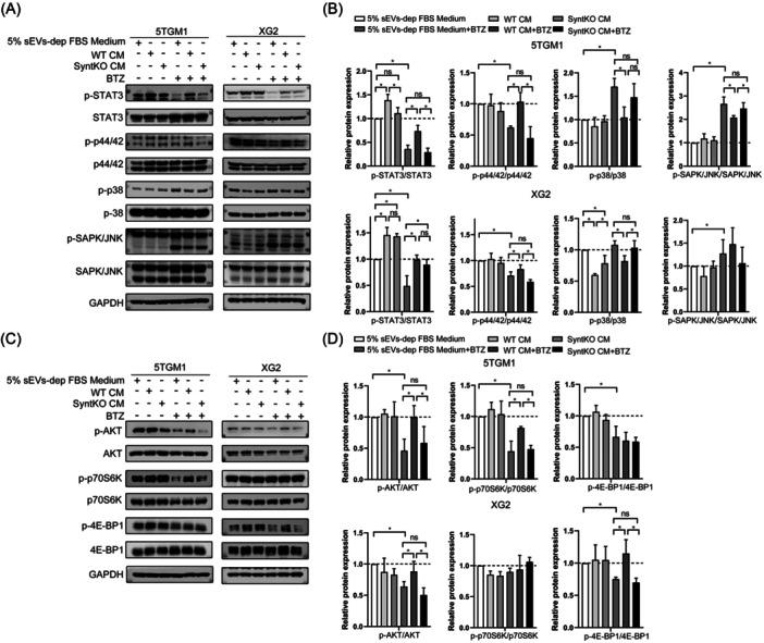 https://cdn.ncbi.nlm.nih.gov/pmc/blobs/54b3/12358804/961f7fd03bc4/HEM3-9-e70197-g004.jpg