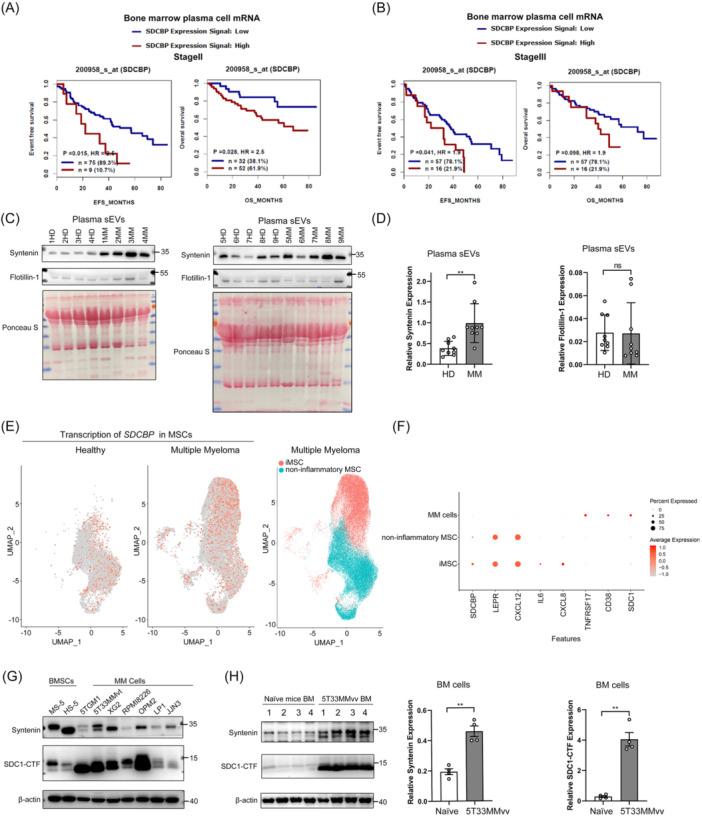 https://cdn.ncbi.nlm.nih.gov/pmc/blobs/54b3/12358804/b4fbef73d2c6/HEM3-9-e70197-g002.jpg