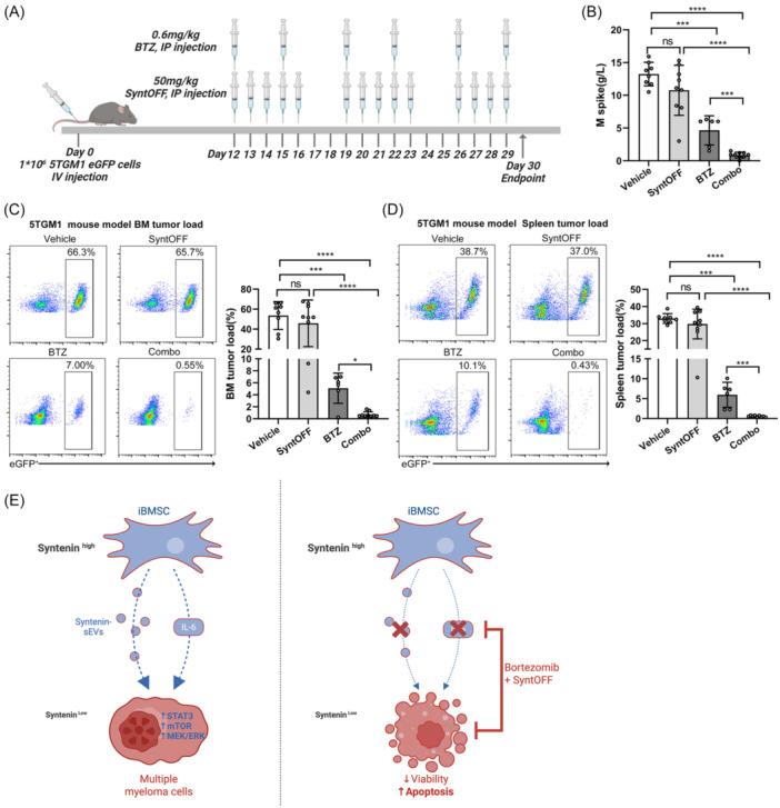 https://cdn.ncbi.nlm.nih.gov/pmc/blobs/54b3/12358804/c78a8168dfe7/HEM3-9-e70197-g006.jpg