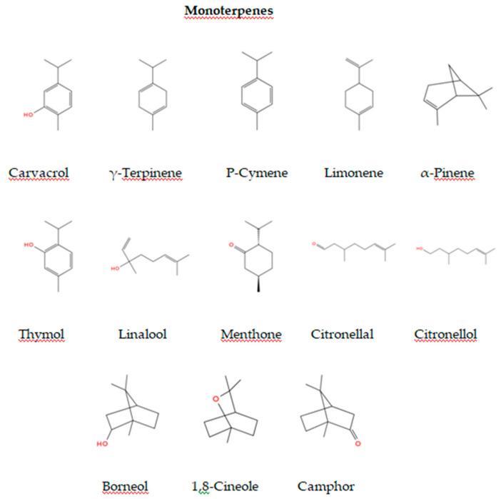 https://cdn.ncbi.nlm.nih.gov/pmc/blobs/54b4/11640364/37c293e13e30/foods-13-03905-g002.jpg