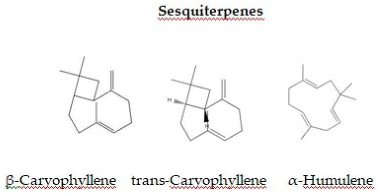 https://cdn.ncbi.nlm.nih.gov/pmc/blobs/54b4/11640364/506d995c97ac/foods-13-03905-g003.jpg