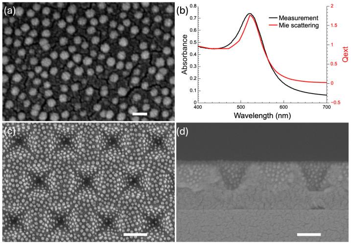 https://cdn.ncbi.nlm.nih.gov/pmc/blobs/54b5/11722957/3e41293fbacb/nanomaterials-15-00064-g002.jpg