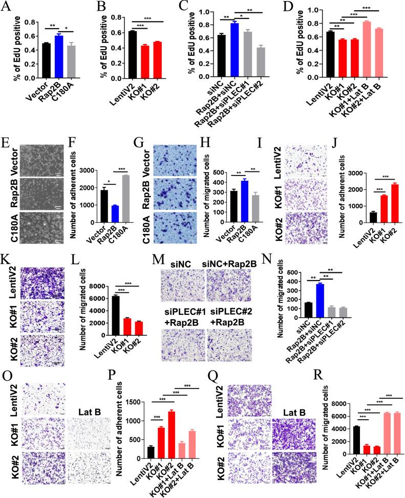 https://cdn.ncbi.nlm.nih.gov/pmc/blobs/54b6/11994759/1c47c116342c/41419_2025_7627_Fig7_HTML.jpg