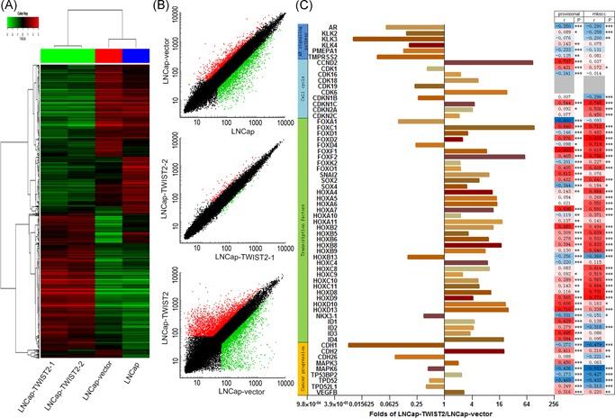 https://cdn.ncbi.nlm.nih.gov/pmc/blobs/54b8/6771699/b69dd0db3333/PROS-79-1647-g005.jpg