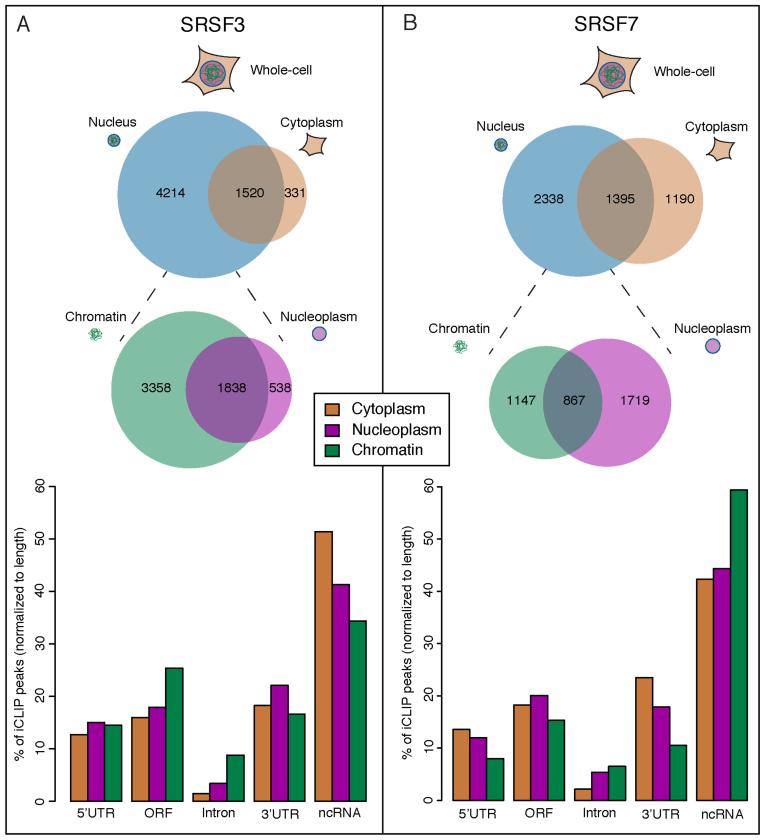 https://cdn.ncbi.nlm.nih.gov/pmc/blobs/54b9/5737842/fa3c8164b3e3/gkx671fig2.jpg