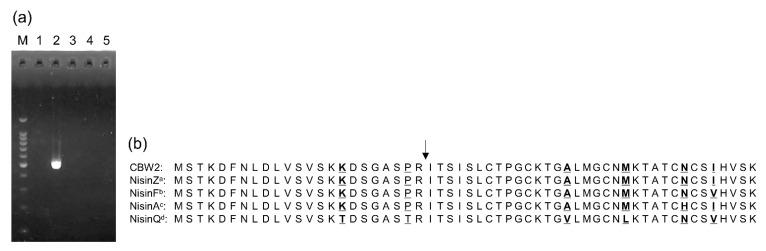 https://cdn.ncbi.nlm.nih.gov/pmc/blobs/54bd/7911499/876ca32953a9/microorganisms-09-00243-g003.jpg