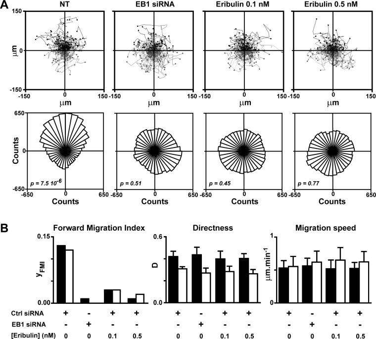 https://cdn.ncbi.nlm.nih.gov/pmc/blobs/54c0/4747180/1757389bba58/oncotarget-06-41667-g002.jpg