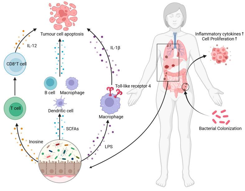 https://cdn.ncbi.nlm.nih.gov/pmc/blobs/54c1/12073834/7b0c91f94276/nutrients-17-01505-g002.jpg