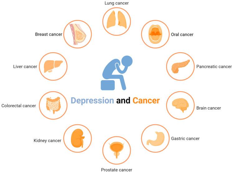 https://cdn.ncbi.nlm.nih.gov/pmc/blobs/54c1/12073834/e871e35f797f/nutrients-17-01505-g001.jpg