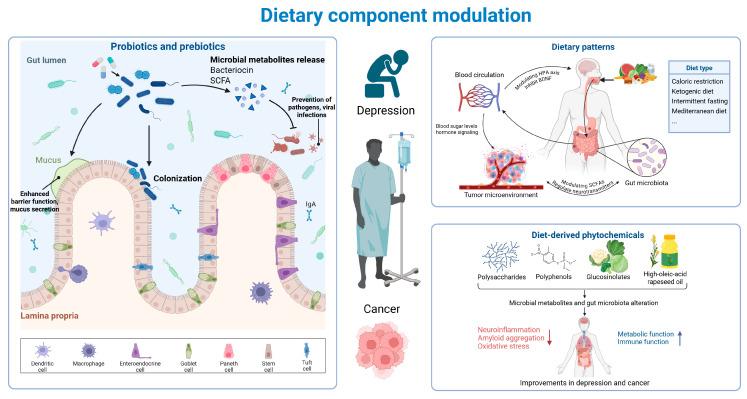 https://cdn.ncbi.nlm.nih.gov/pmc/blobs/54c1/12073834/ec31ca436318/nutrients-17-01505-g004.jpg