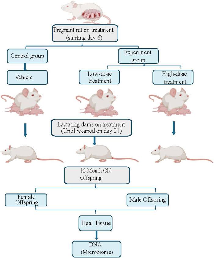 https://cdn.ncbi.nlm.nih.gov/pmc/blobs/54c1/12382514/a411d49303b1/ebm-250-10564-g001.jpg