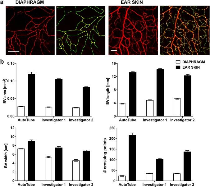 https://cdn.ncbi.nlm.nih.gov/pmc/blobs/54c2/6475513/424a35bff1b0/10456_2018_9652_Fig5_HTML.jpg