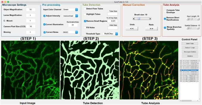 https://cdn.ncbi.nlm.nih.gov/pmc/blobs/54c2/6475513/4e0c338469cc/10456_2018_9652_Fig2_HTML.jpg