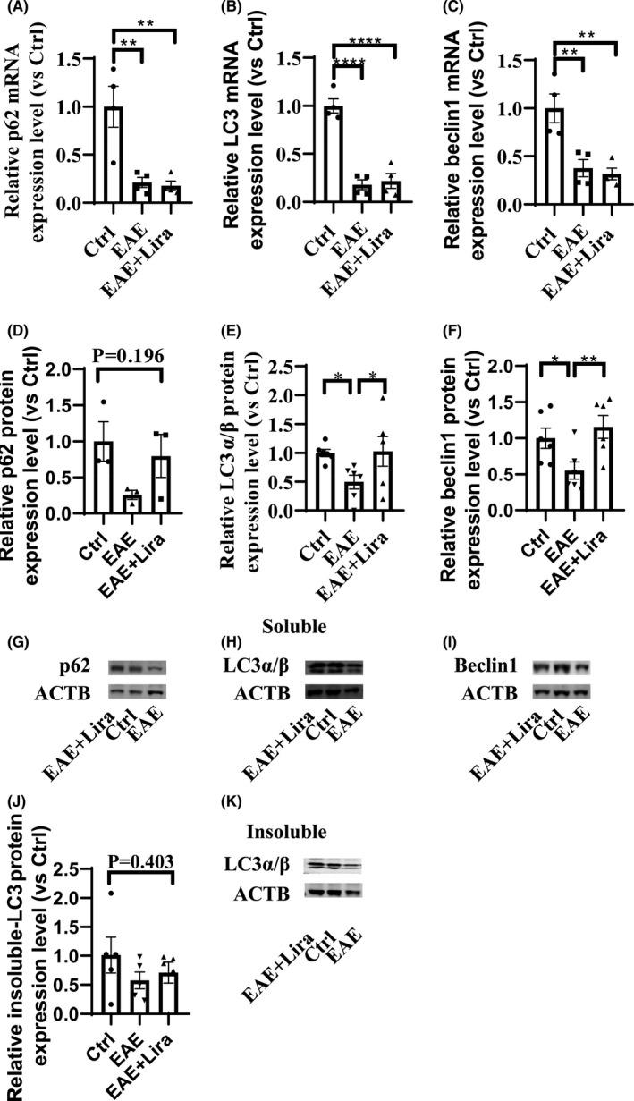 https://cdn.ncbi.nlm.nih.gov/pmc/blobs/54c7/8841291/b150523df90d/CNS-28-422-g004.jpg
