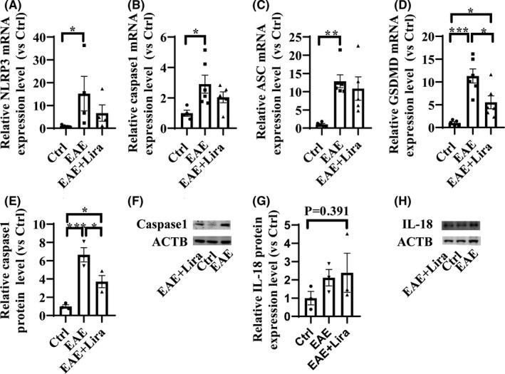 https://cdn.ncbi.nlm.nih.gov/pmc/blobs/54c7/8841291/d01044b6171d/CNS-28-422-g001.jpg