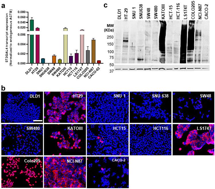https://cdn.ncbi.nlm.nih.gov/pmc/blobs/54c8/10335957/9127fea3db59/10719_2023_10113_Fig1_HTML.jpg