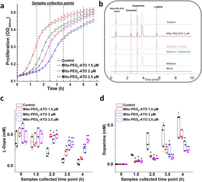 https://cdn.ncbi.nlm.nih.gov/pmc/blobs/54c8/11139878/1746b8493a38/42003_2024_6330_Fig3_HTML.jpg