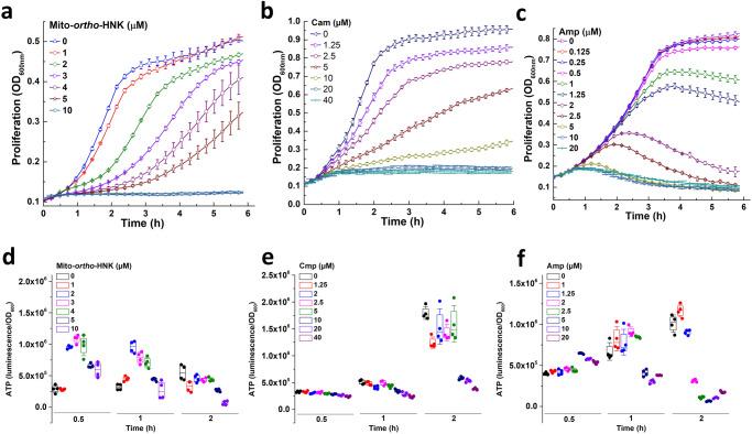 https://cdn.ncbi.nlm.nih.gov/pmc/blobs/54c8/11139878/2c49f62a6dcc/42003_2024_6330_Fig6_HTML.jpg