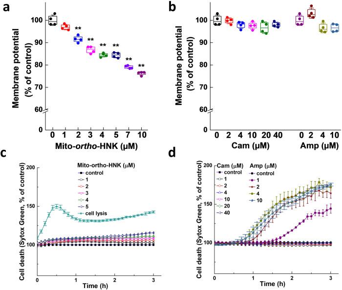 https://cdn.ncbi.nlm.nih.gov/pmc/blobs/54c8/11139878/5dfc15814e1a/42003_2024_6330_Fig5_HTML.jpg
