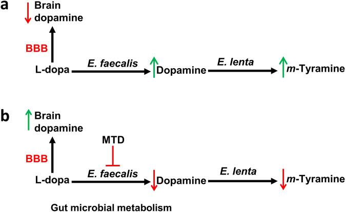https://cdn.ncbi.nlm.nih.gov/pmc/blobs/54c8/11139878/9f82c8ad6aeb/42003_2024_6330_Fig8_HTML.jpg