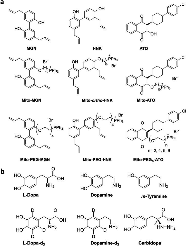 https://cdn.ncbi.nlm.nih.gov/pmc/blobs/54c8/11139878/cfa10e2e56ba/42003_2024_6330_Fig9_HTML.jpg
