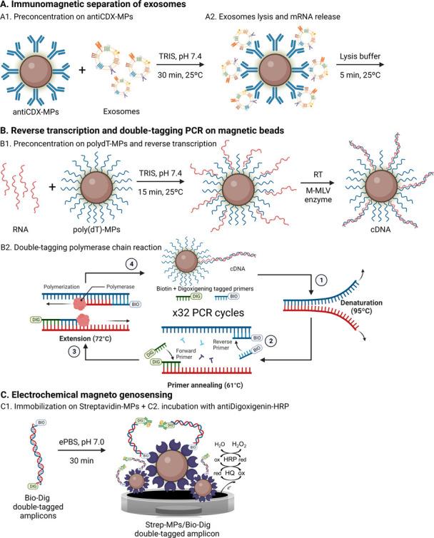 https://cdn.ncbi.nlm.nih.gov/pmc/blobs/54c8/9893220/410d7ed91048/ac2c04773_0002.jpg