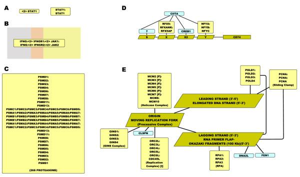 https://cdn.ncbi.nlm.nih.gov/pmc/blobs/54c9/2878301/14317f465872/1752-0509-4-65-2.jpg