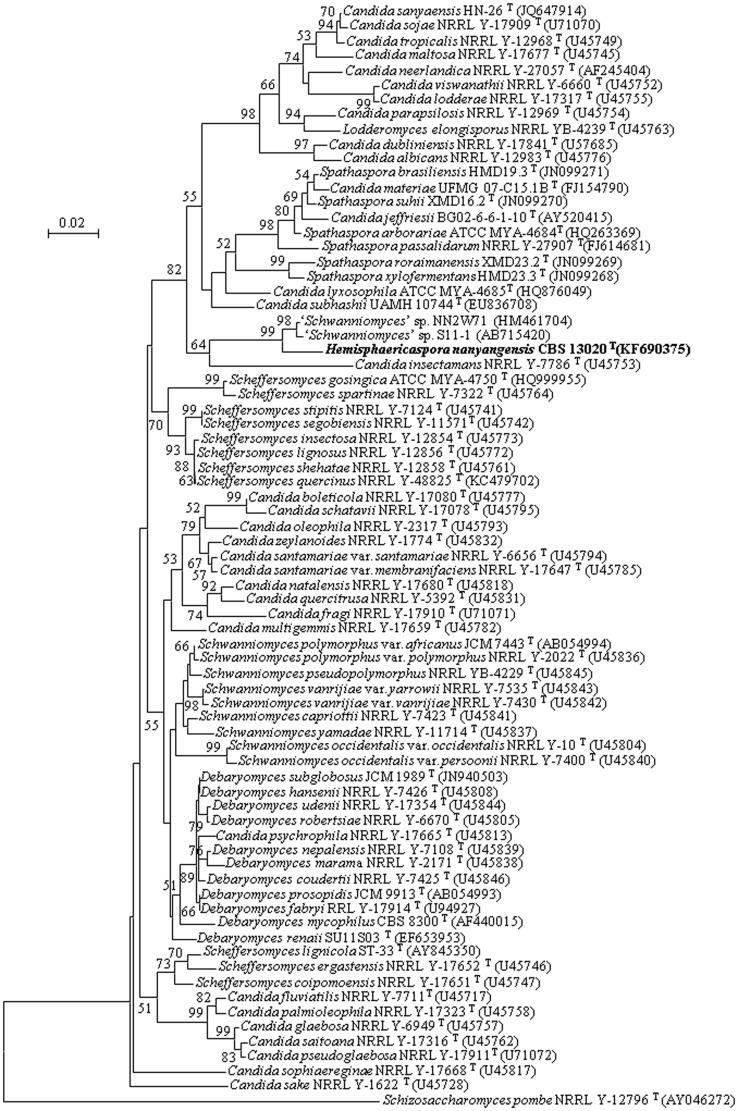 https://cdn.ncbi.nlm.nih.gov/pmc/blobs/54c9/4116224/29b0c4a11266/pone.0103737.g001.jpg