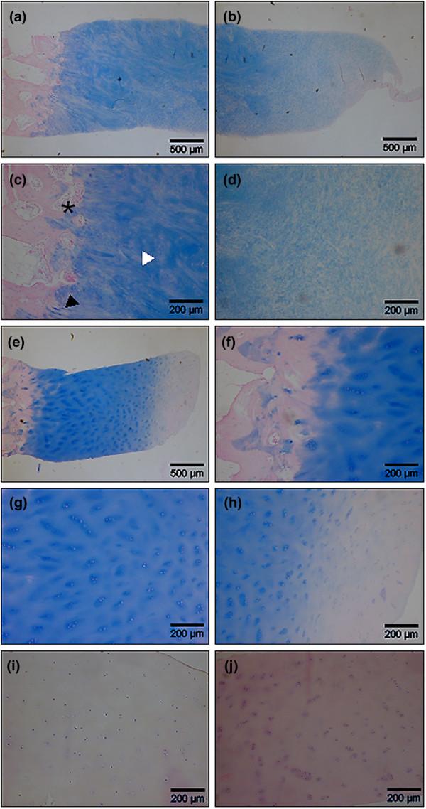 https://cdn.ncbi.nlm.nih.gov/pmc/blobs/54ca/1906819/9ab4d0cddf84/ar2180-2.jpg