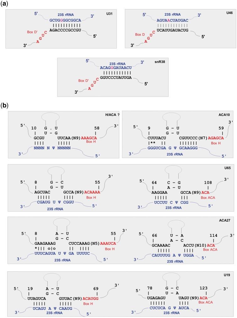 https://cdn.ncbi.nlm.nih.gov/pmc/blobs/54ca/5499648/53807136f86d/dsx002f4.jpg