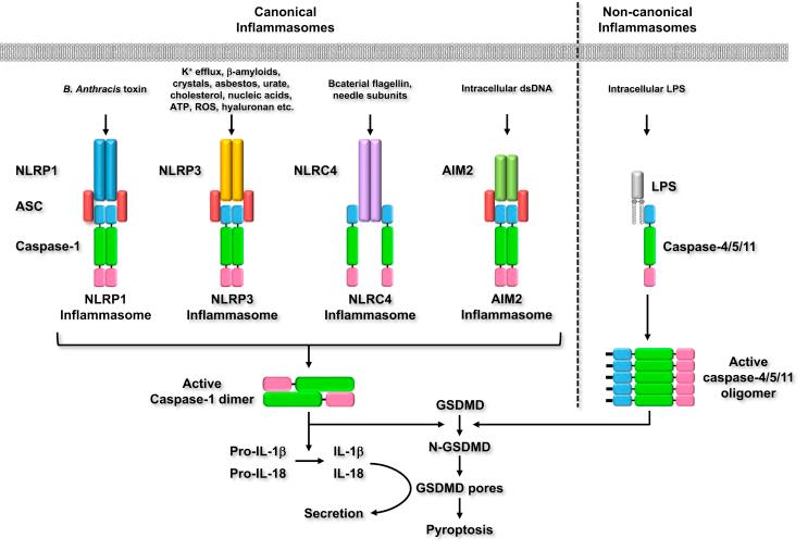 https://cdn.ncbi.nlm.nih.gov/pmc/blobs/54cb/7195600/9b9c51b4c42f/gr2.jpg