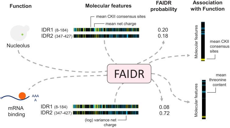 https://cdn.ncbi.nlm.nih.gov/pmc/blobs/54cd/7932695/fb720f199fd8/elife-60220-fig1.jpg