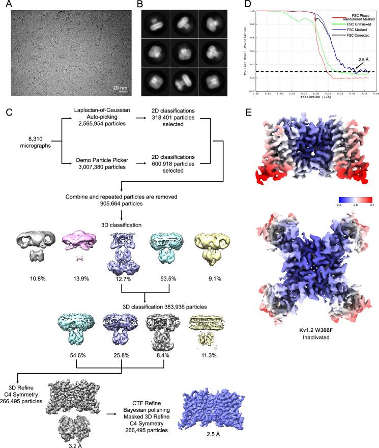 https://cdn.ncbi.nlm.nih.gov/pmc/blobs/54d1/11825129/49a2be306ba1/elife-89459-fig2-figsupp2.jpg