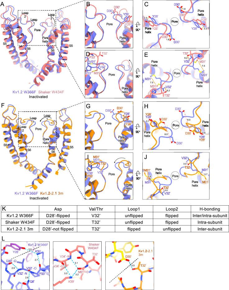 https://cdn.ncbi.nlm.nih.gov/pmc/blobs/54d1/11825129/5f06b6e861c0/elife-89459-fig6-figsupp1.jpg