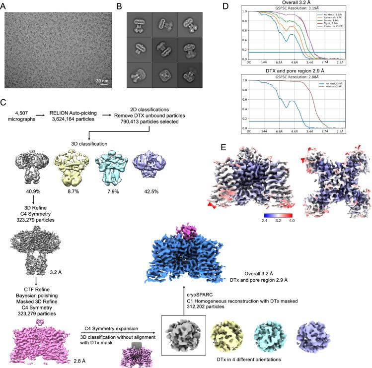 https://cdn.ncbi.nlm.nih.gov/pmc/blobs/54d1/11825129/8ffee49940a3/elife-89459-fig3-figsupp1.jpg