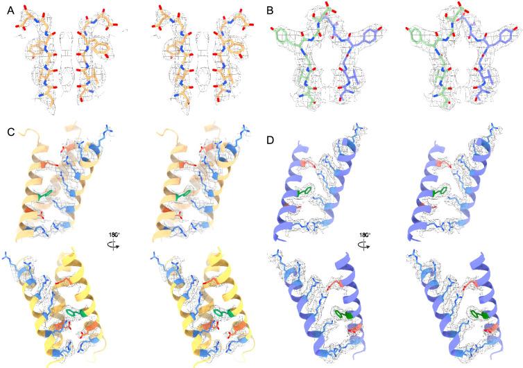 https://cdn.ncbi.nlm.nih.gov/pmc/blobs/54d1/11825129/e7caf7746227/elife-89459-fig2-figsupp4.jpg