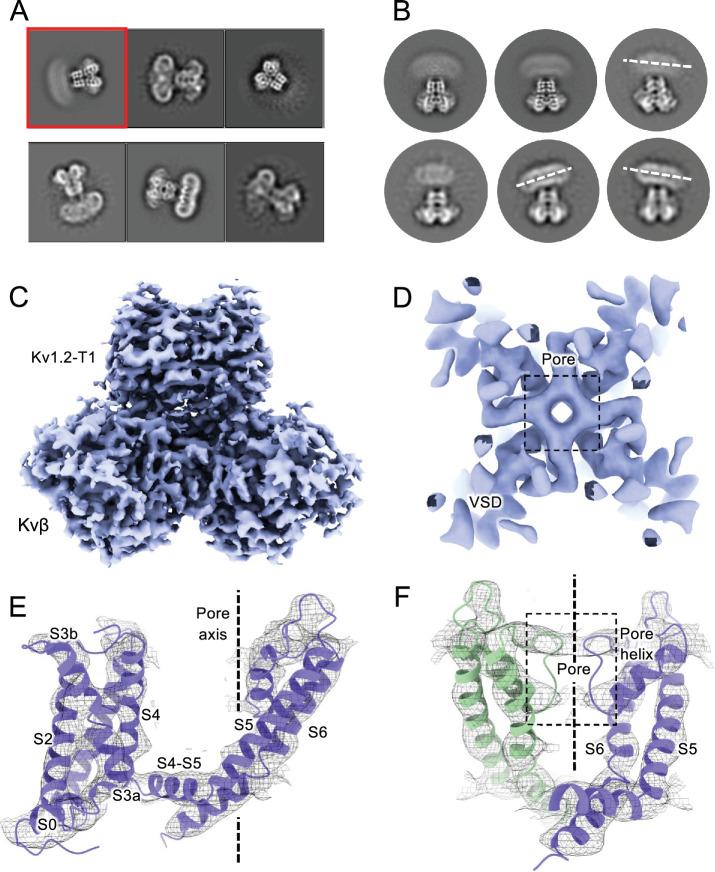 https://cdn.ncbi.nlm.nih.gov/pmc/blobs/54d1/11825129/e9f58e5dcb34/elife-89459-fig5.jpg