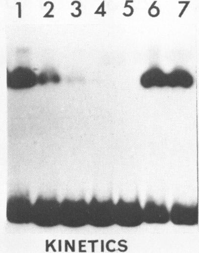 https://cdn.ncbi.nlm.nih.gov/pmc/blobs/54d1/318276/0c4cc09945a8/nar00132-0374-a.jpg