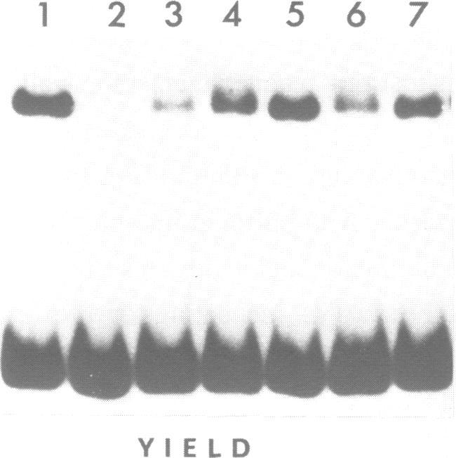 https://cdn.ncbi.nlm.nih.gov/pmc/blobs/54d1/318276/ba904a1768a1/nar00132-0377-a.jpg