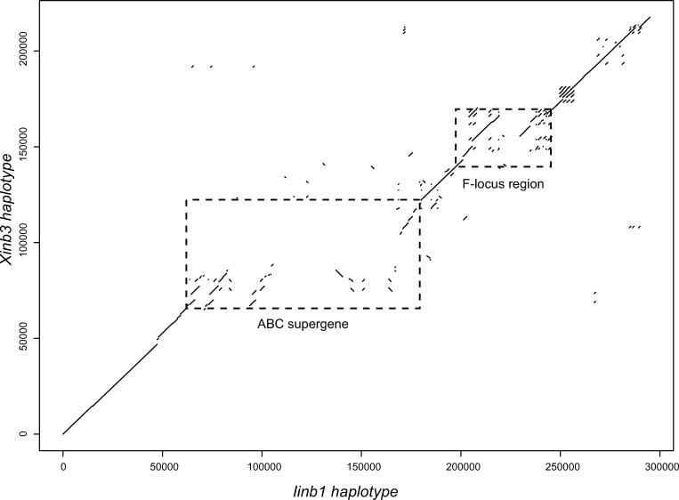 https://cdn.ncbi.nlm.nih.gov/pmc/blobs/54d4/9894429/547bfa1533d5/pgen.1010570.g002.jpg