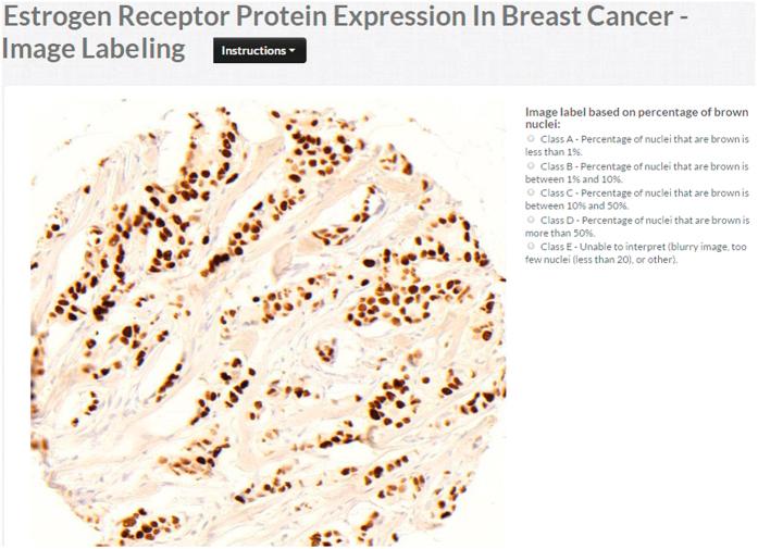 https://cdn.ncbi.nlm.nih.gov/pmc/blobs/54d5/5322394/4a5960a58c29/srep43286-f3.jpg