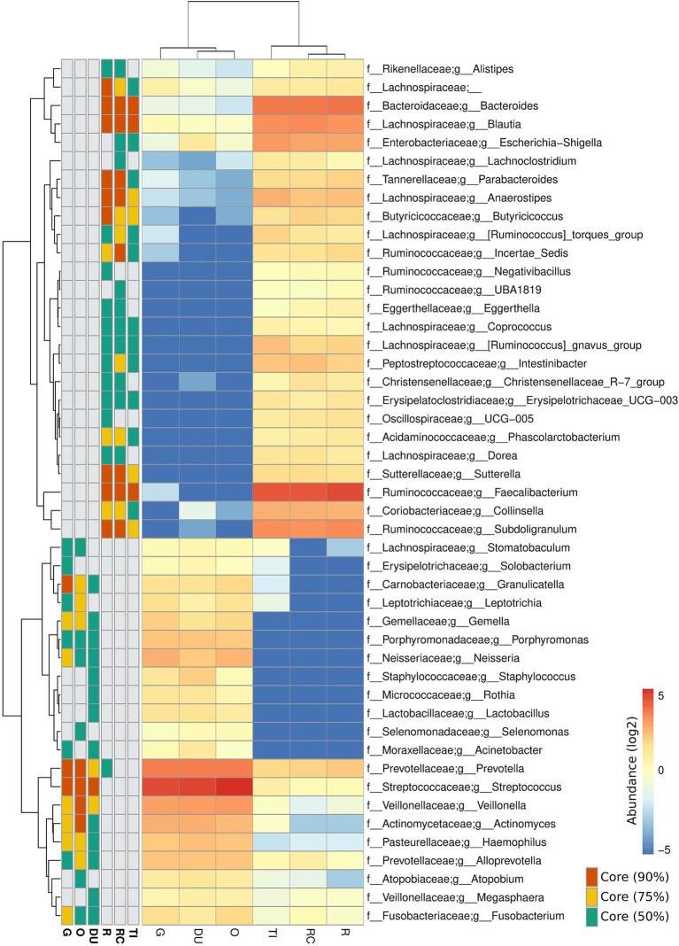 https://cdn.ncbi.nlm.nih.gov/pmc/blobs/54d6/11513579/5162cc7dfb9b/fmicb-15-1454910-g001.jpg