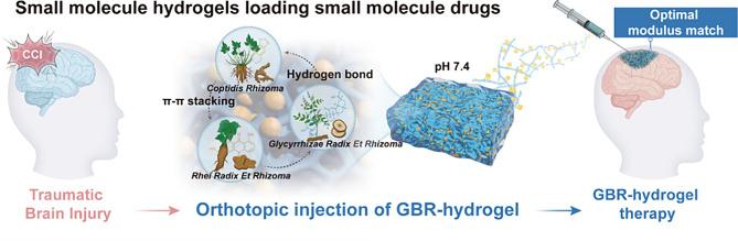 https://cdn.ncbi.nlm.nih.gov/pmc/blobs/54d6/11827262/db0b8efd0930/12951_2025_3146_Fig11_HTML.jpg