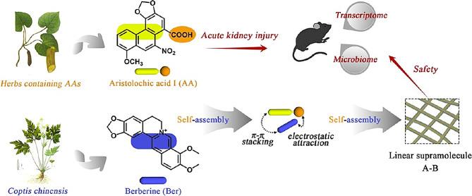 https://cdn.ncbi.nlm.nih.gov/pmc/blobs/54d6/11827262/e7b6fc22fd0d/12951_2025_3146_Fig10_HTML.jpg