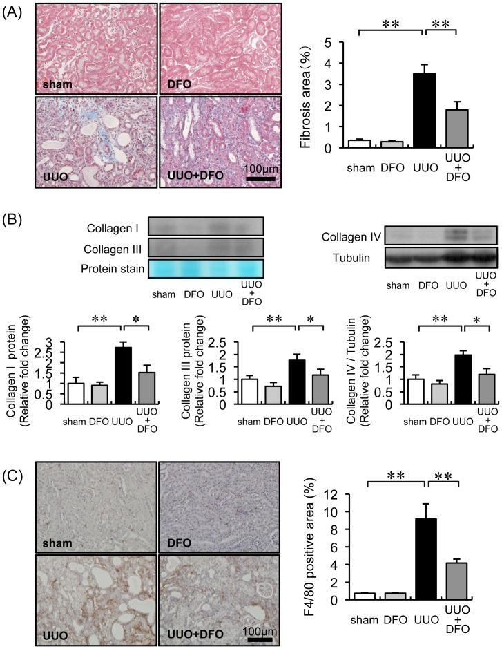 https://cdn.ncbi.nlm.nih.gov/pmc/blobs/54d6/3929716/9aa947c16e65/pone.0089355.g001.jpg