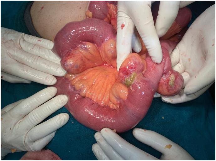 https://cdn.ncbi.nlm.nih.gov/pmc/blobs/54d7/8355921/fc2ec39501e2/gr2.jpg