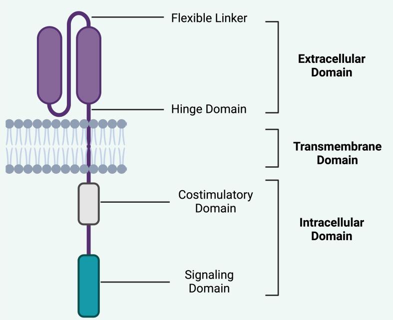 https://cdn.ncbi.nlm.nih.gov/pmc/blobs/54d9/11611814/8329a3f6b277/fimmu-15-1492552-g002.jpg