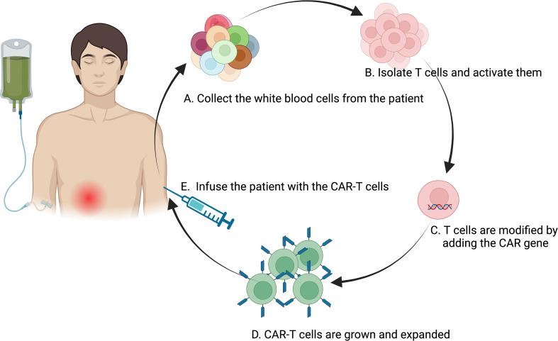 https://cdn.ncbi.nlm.nih.gov/pmc/blobs/54d9/11611814/947375c68a66/fimmu-15-1492552-g003.jpg