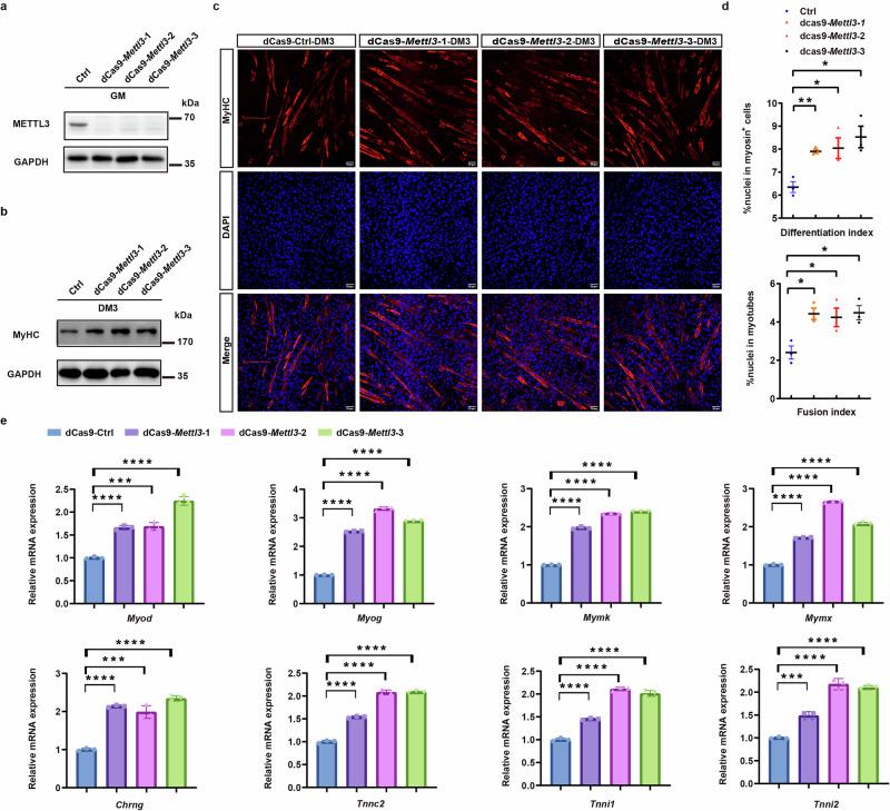 https://cdn.ncbi.nlm.nih.gov/pmc/blobs/54da/12398539/00d2403f845b/42003_2025_8759_Fig4_HTML.jpg